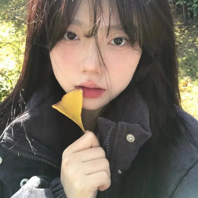 冬湾之恋