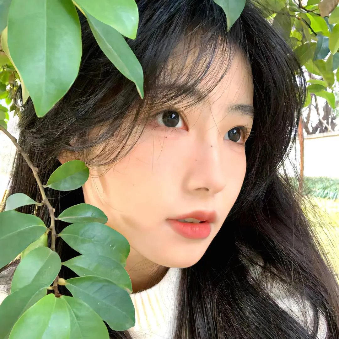 公民科恩